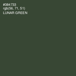 #384733 - Lunar Green Color Image